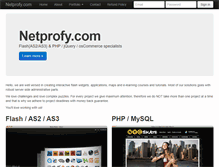 Tablet Screenshot of netprofy.com